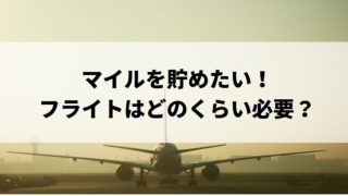 9ヶ月の妊婦が飛行機に乗ったよ Anaで里帰りした体験談 ちょここたいむ